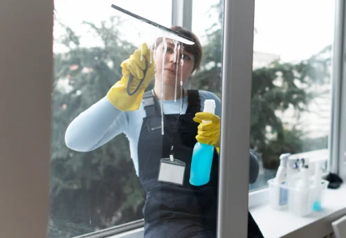 Nettoyage de vitres intérieures et extérieures à Moissannes